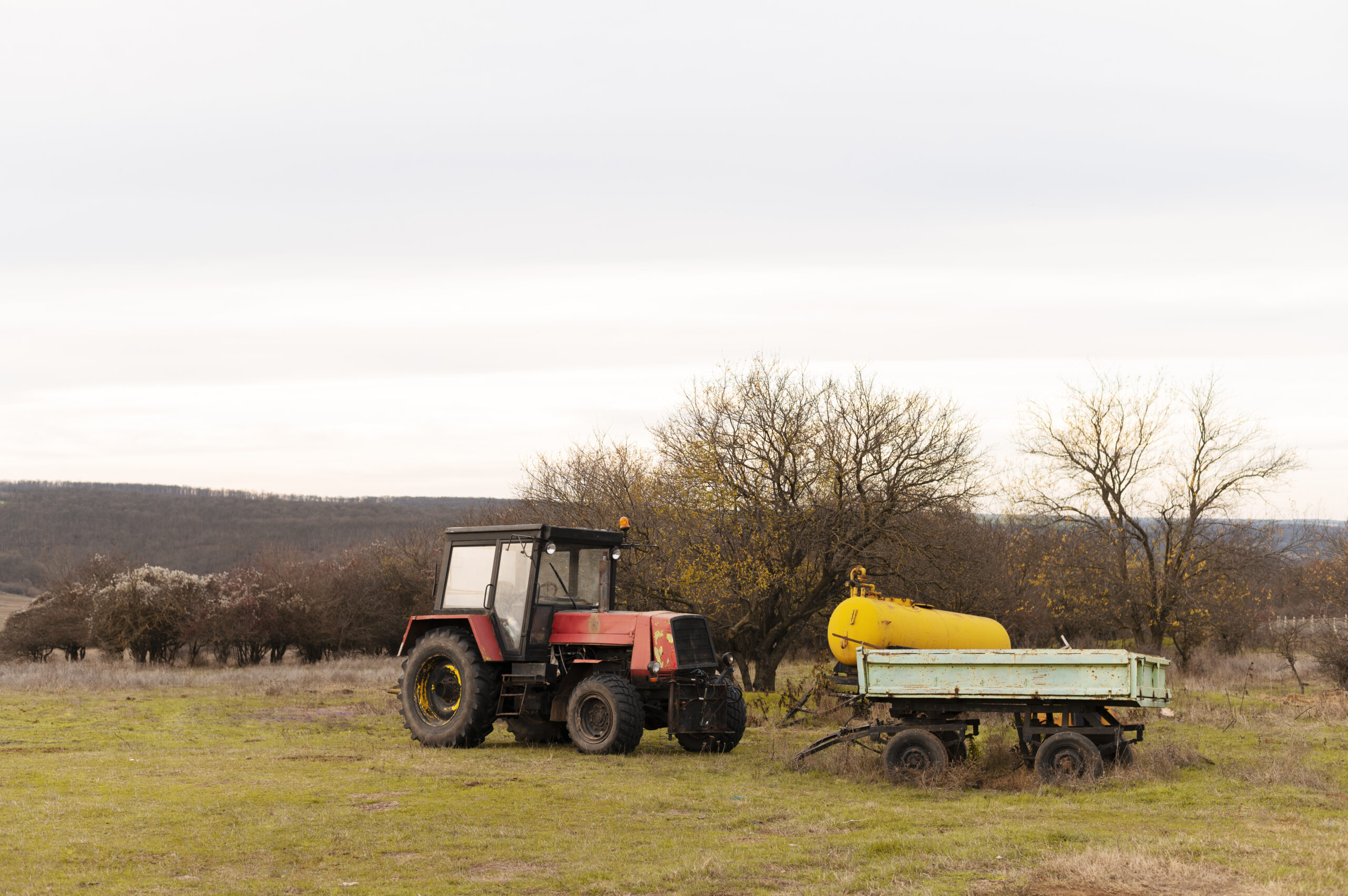 people-taking-care-farm